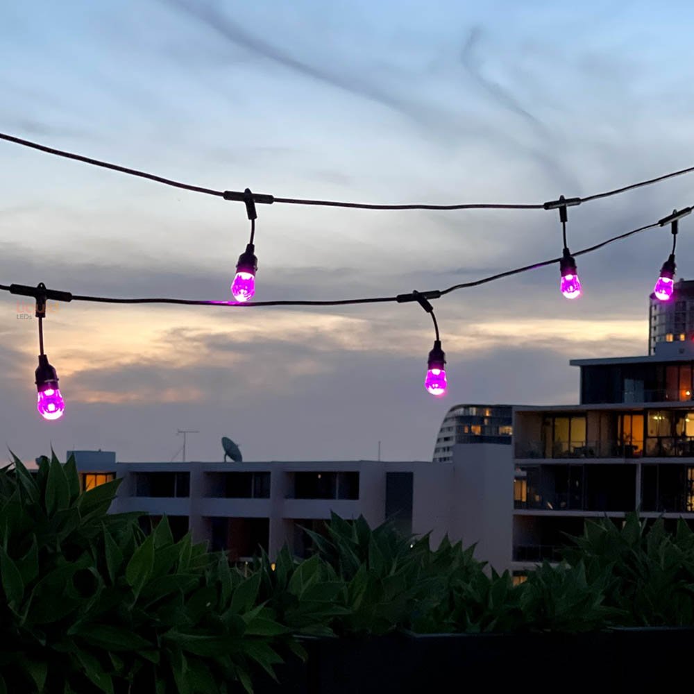 15m Smart Festoon String Lights with 15 LED Bulbs - LiquidLEDs™ - Festoon String