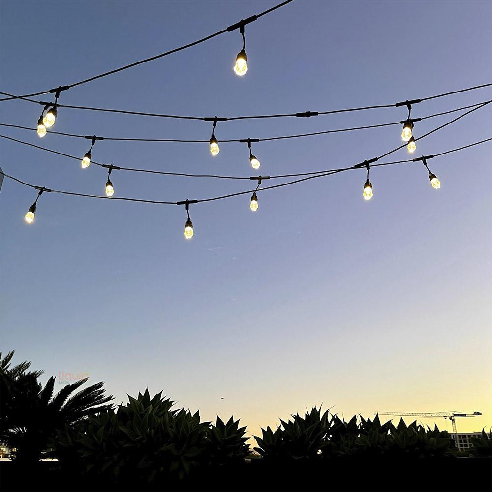 15m Smart Festoon String Lights with 15 LED Bulbs - LiquidLEDs™ - Festoon String