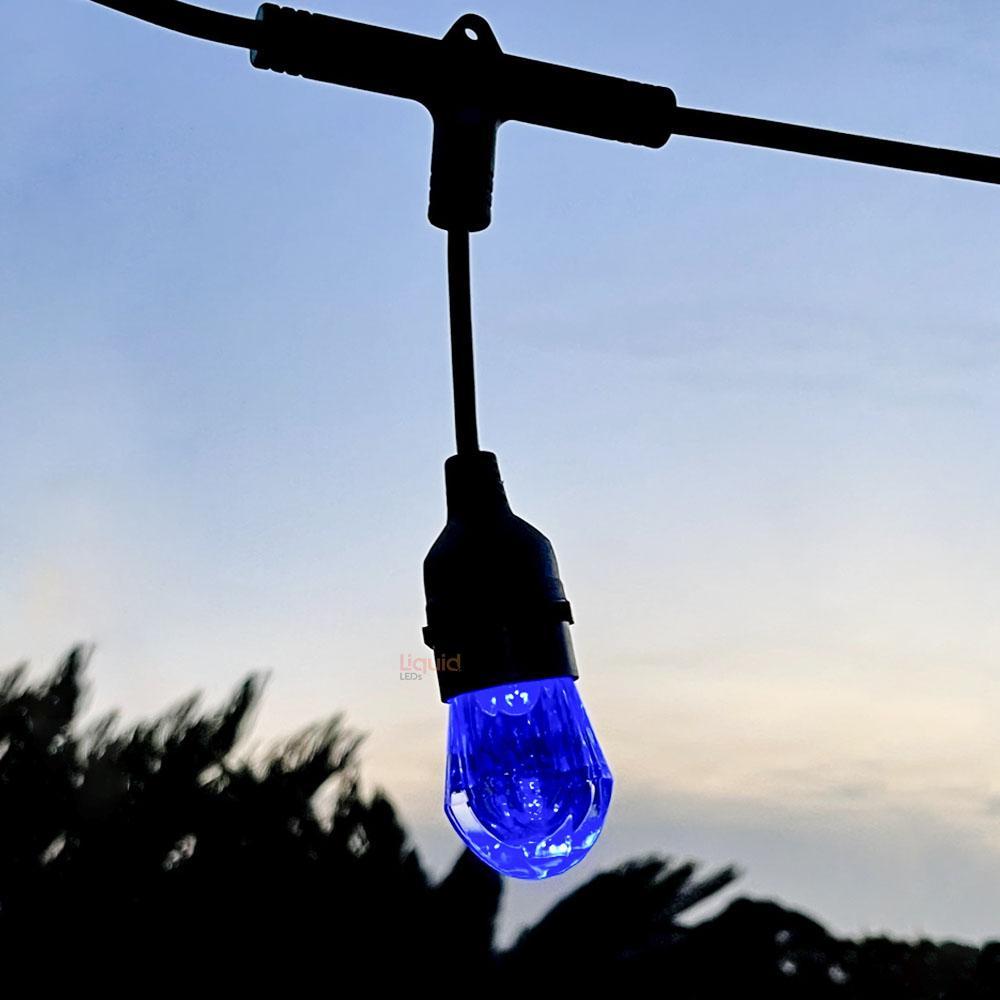 15m Smart Festoon String Lights with 15 LED Bulbs - LiquidLEDs™ - Festoon String