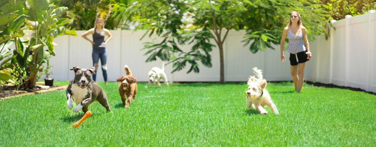 4 Tips to Kid & Pet Proof Your Lawn