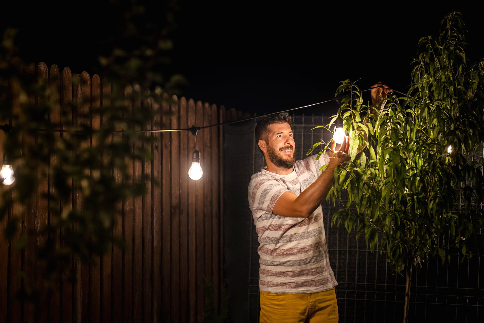 KINGCOO 6M 200LED Luci di Stringa Grappolo con Telecomando,Argento Filo KINGCOO 6M 200LED Luci di Stringa Grappolo con Telecomando,Argento Filo