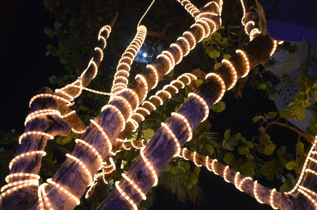 How to Use Festoon Lights to Light up Your Garden - LiquidLEDs™