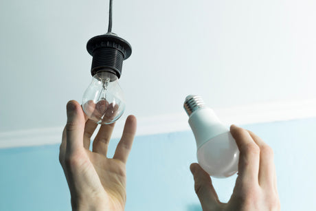 Reasons to Pick Natural White LED Light Bulbs