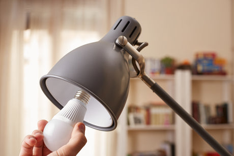 Daylight vs. Soft White Bulbs – Which One Should You Buy?