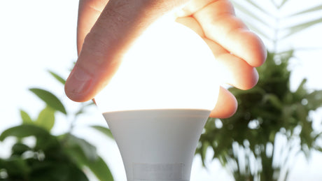 Things to Consider Before Buying Daylight LED Light Bulbs