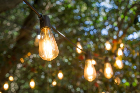 The Definitive Guide To Hanging Festoon Lights Outdoors - LiquidLEDs™