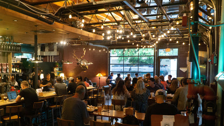 The Ultimate Festoon Lighting Buying Guide - LiquidLEDs™