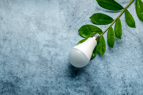 Things to Keep in Mind When Buying LED Light Bulbs - LiquidLEDs™