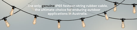 Festoon Lights