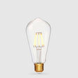 6W 12 Volt DC Edison LED Bulb E27 in Extra Warm - LiquidLEDs™ - Edison Bulbs