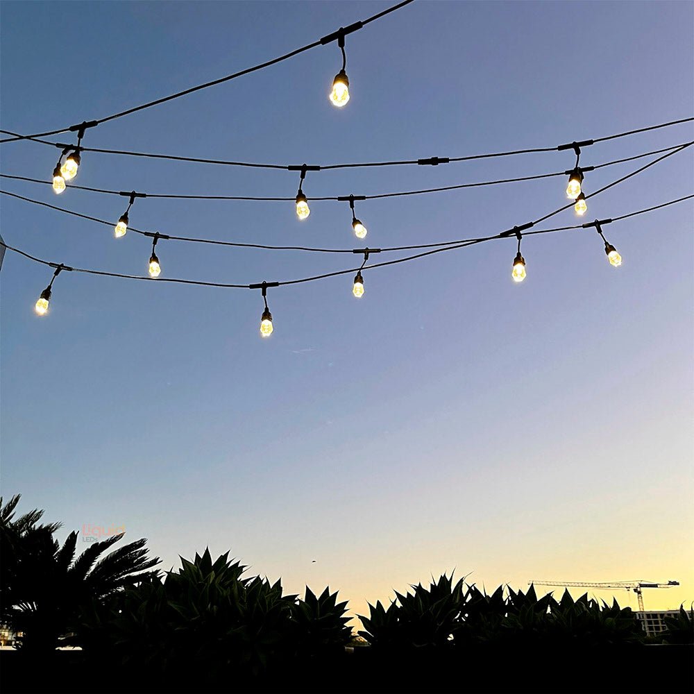 15m Smart Festoon String Lights with 15 LED Bulbs - LiquidLEDs™ - Festoon String