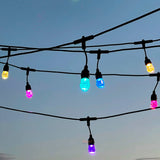 15m Smart Festoon String Lights with 15 LED Bulbs - LiquidLEDs™ - Festoon String