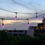 15m Smart Festoon String Lights with 15 LED Bulbs - LiquidLEDs™ - Festoon String