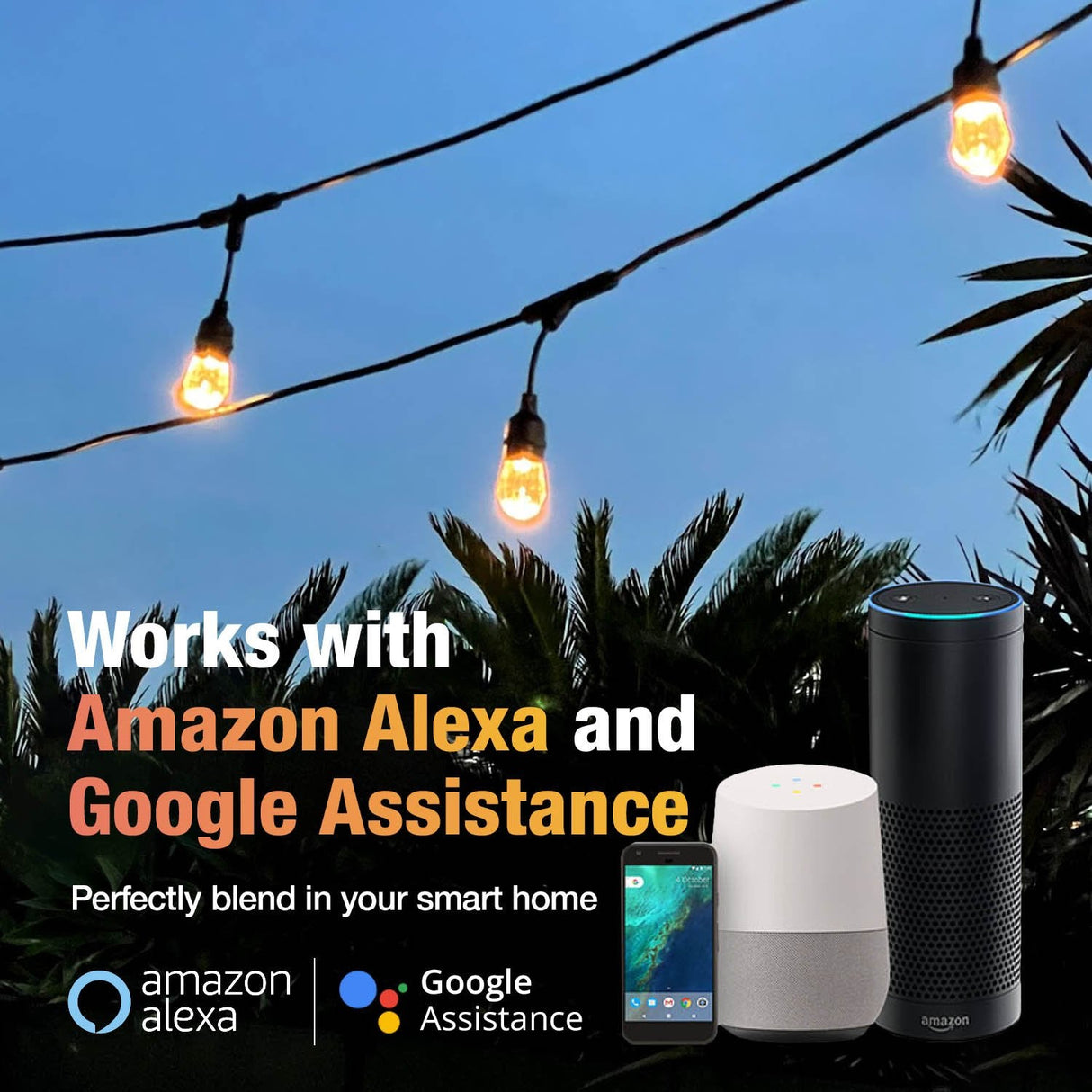 15m Smart Festoon String Lights with 15 LED Bulbs - LiquidLEDs™ - Festoon String