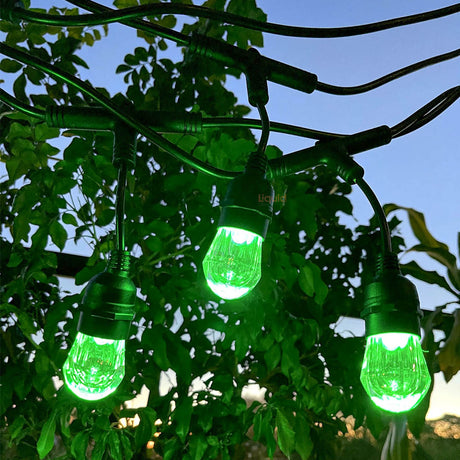 LED Bulbs Smart Festoon String Lights