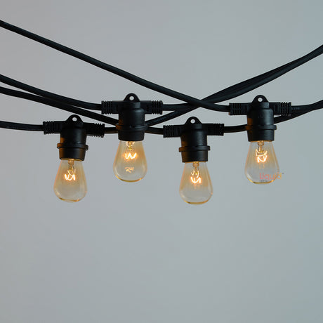 Festoon String Lights Black Liquid LEDs 11 Wincandescent S14 bulbs