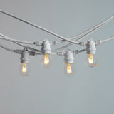 White Festoon String Lights IP65 Outdoor LED 3W Fancy Round Tre Loop Dimmable 2200K