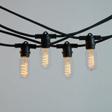 Buy Black Festoon string lighting LED 4W Tubular Dimmable 2200K