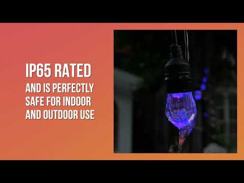 Outdoor or Indoor Smart Festoon String with LED Bulbs
